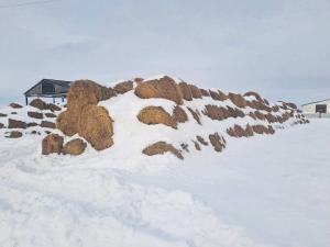 Солома 2025 года №2 (100 рулонов) (Витебская обл., Глубокский р-н, д.Озерцы, ул. Советская, 25)