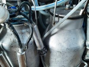 Доильный аппарат, 18 шт. (Витебская обл., Браславский р-н, аг.Друя, ул. Браславская, 62)