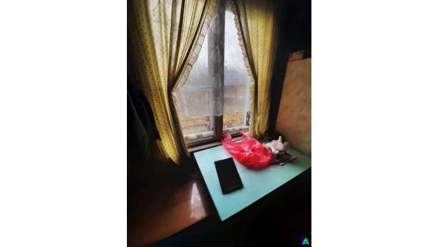 Здание одноквартирного жилого дома пл. 73,9 кв.м., инв. №299 (Витебская обл., Браславский р-н, Друевский с/с, аг.Друйск, ул. Школьная, 1)