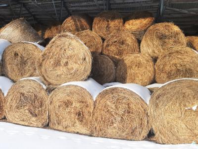 Сено 2025 года №1 (100 рулонов), 350-400 кг/рул. (Витебская обл., Браславский р-н, аг.Друя, ул. Браславская, 62)