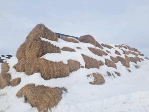 Солома 2025 года №2 (200 рулонов) (Витебская обл., Глубокский р-н, д.Озерцы, ул. Советская, 25)