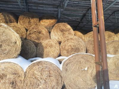 Сено 2025 года №2 (100 рулонов), 350-400 кг/рул. (Витебская обл., Браславский р-н, аг.Друя, ул. Браславская, 62)