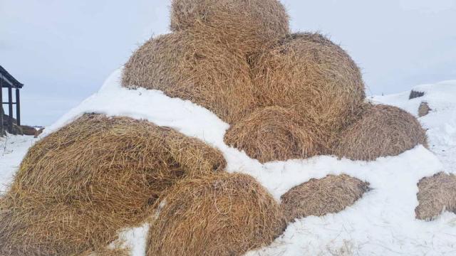 Солома 2025 года №3 (200 рулонов) (Витебская обл., Глубокский р-н, д.Озерцы, ул. Советская, 25)