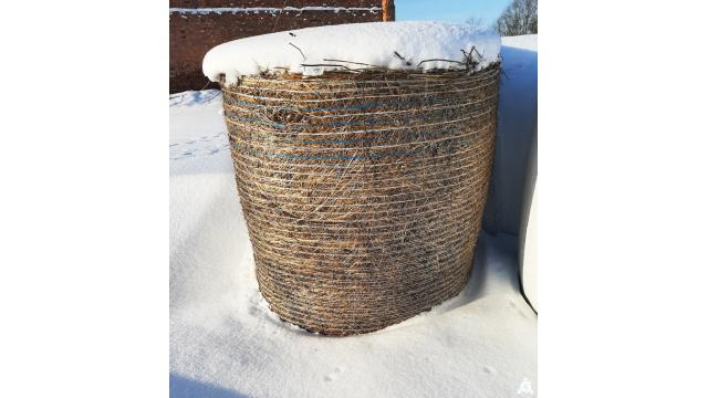 Сено 2025 года №2 (100 рулонов), 350-400 кг/рул. (Витебская обл., Браславский р-н, аг.Друя, ул. Браславская, 62)