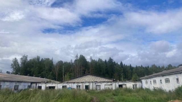 Капитальное строение с инв. №225/C-20669, коровник пл. 1792,3 кв.м. (Витебская обл., Докшицкий р-н, Бегомльский с/с, 97, вблизи аг. Замосточье)