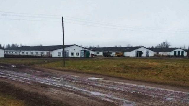 Комплекс имущества (коровник, телятники) в аг.Глыбочка с учетом прочего имущества (Витебская обл., Ушачский р-н, аг.Глыбочка, ул. Центральная, 31В)