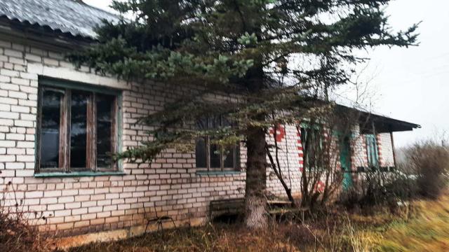 Здание блокированного жилого дома пл. 186,6 кв.м., инв. №165 (Витебская обл., Браславский р-н, Друевский с/с, аг.Друйск, ул. Зелёная, 18)