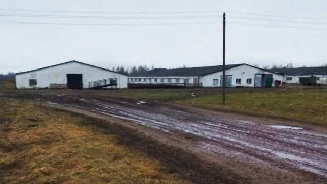 Комплекс имущества (коровник, телятники) в аг.Глыбочка с учетом прочего имущества (Витебская обл., Ушачский р-н, аг.Глыбочка, ул. Центральная, 31В)