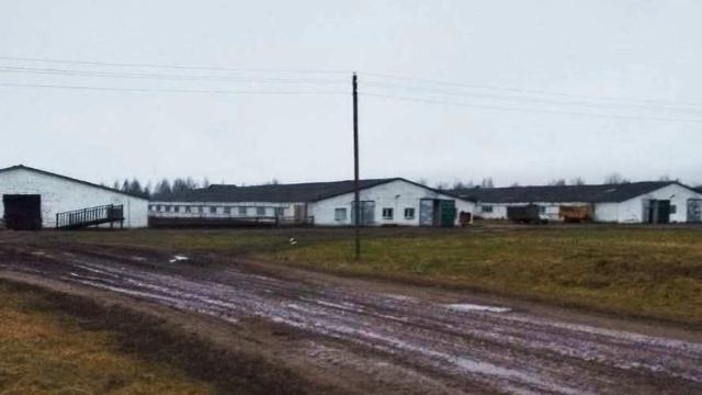 Комплекс имущества (коровник, телятники) в аг.Глыбочка с учетом прочего имущества (Витебская обл., Ушачский р-н, аг.Глыбочка, ул. Центральная, 31В)