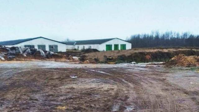 Комплекс имущества (коровник, телятники) в аг.Глыбочка с учетом прочего имущества (Витебская обл., Ушачский р-н, аг.Глыбочка, ул. Центральная, 31В)