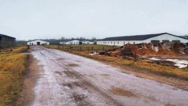 Комплекс имущества (коровник, телятники) в аг.Глыбочка с учетом прочего имущества (Витебская обл., Ушачский р-н, аг.Глыбочка, ул. Центральная, 31В)