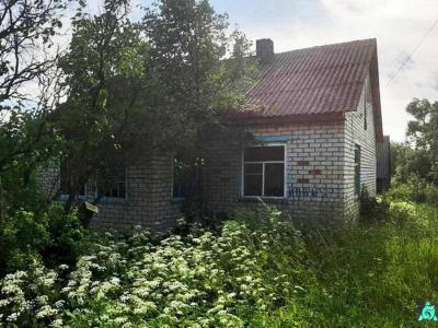 Здание одноквартирного жилого дома пл. 65,1 кв.м, инв. №723 (Витебская обл., Браславский р-н, Друевский с/с, аг.Друйск, ул. Центральная, 10)