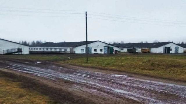 Комплекс имущества (коровник, телятники) в аг.Глыбочка с учетом прочего имущества (Витебская обл., Ушачский р-н, аг.Глыбочка, ул. Центральная, 31В)