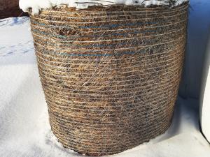 Сено 2025 года №3 (150 рулонов), 350-400 кг/рул. (Витебская обл., Браславский р-н, аг.Друя, ул. Браславская, 62)