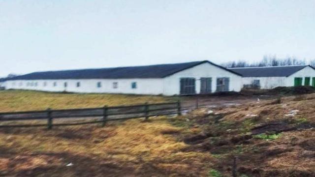 Комплекс имущества (коровник, телятники) в аг.Глыбочка с учетом прочего имущества (Витебская обл., Ушачский р-н, аг.Глыбочка, ул. Центральная, 31В)