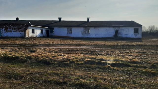 Комплекс 2 зданий фермы в аг.Друя (коровник, телятник, 3 сенажные траншеи) общей пл. 3161,9 кв.м. с прочим имуществом (Витебская обл., Браславский р-н, Друевский с/с, 81 и 82, вблизи аг.Друя)