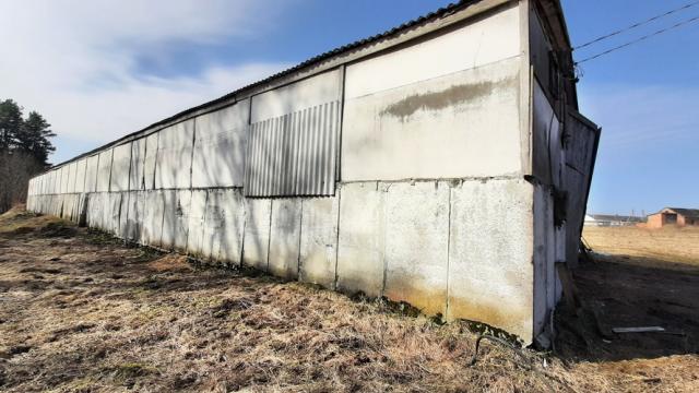 Капитальное строение, зернохранилище пл. 738,0 кв.м.: (Витебская обл., Браславский р-н, Друевский с/с, 83, вблизи аг.Друя)