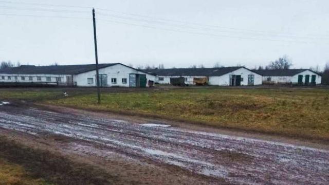 Комплекс имущества (коровник, телятники) в аг.Глыбочка с учетом прочего имущества (Витебская обл., Ушачский р-н, аг.Глыбочка, ул. Центральная, 31В)