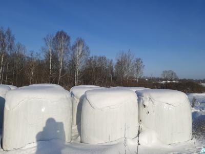 Сенаж в стрейч упаковке №1 (50 рулонов), 650-700 кг/рул. (Витебская обл., Браславский р-н, аг.Друя, ул. Браславская, 62)