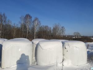 Сенаж в стрейч упаковке №1 (100 рулонов), 650-700 кг./рул. (Витебская обл., Браславский р-н, аг.Друя, ул. Браславская, 62)