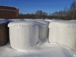 Сенаж в стрейч упаковке №2 (100 рулонов), 650-700 кг./рул. (Витебская обл., Браславский р-н, аг.Друя, ул. Браславская, 62)