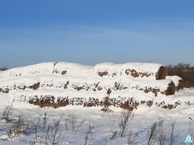 Солома 2025 года №2 (50 рулонов) (Витебская обл., Браславский р-н, аг.Друя, ул. Браславская, 62)