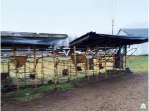 Доильная установка ПДУ-8, инв. №851 (Витебская обл., Ушачский р-н, аг.Глыбочка, ул. Центральная, 31В)