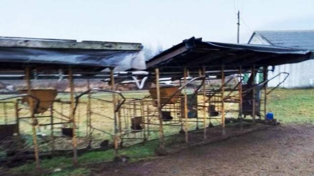 Доильная установка ПДУ-8, инв. №851 (Витебская обл., Ушачский р-н, аг.Глыбочка, ул. Центральная, 31В)