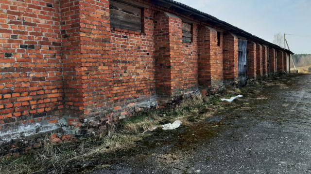 Капитальное строение, зернохранилище пл. 716,8 кв.м. (Витебская обл., Браславский р-н, Друевский с/с, аг.Друя, ул. Браславская, 75)