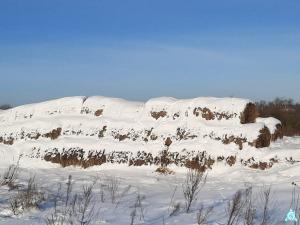 Солома 2025 года (150 рулонов) (Витебская обл., Браславский р-н, аг.Друя, ул. Браславская, 62)