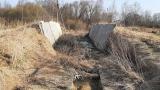 Комплекс 2 зданий фермы в аг.Друя (коровник, телятник, 3 сенажные траншеи) общей пл. 3161,9 кв.м. с прочим имуществом (Витебская обл., Браславский р-н, Друевский с/с, 81 и 82, вблизи аг.Друя)