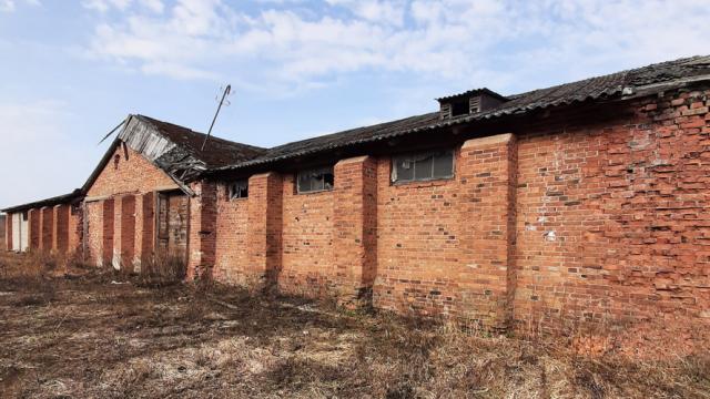 Капитальное строение, зернохранилище пл. 716,8 кв.м. (Витебская обл., Браславский р-н, Друевский с/с, аг.Друя, ул. Браславская, 75)