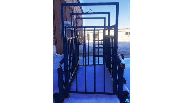 Весы для взвешивания скота, инв. №124 (Витебская обл., Миорский р-н, Повятский с/с, д.Паташня, ул. Молодёжная, 13)