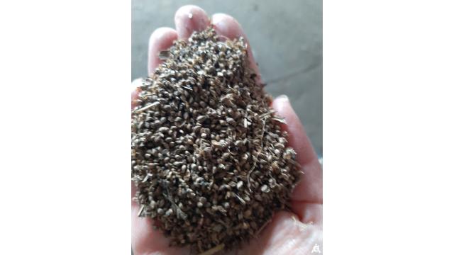 Семена пайзы №2 (5 тонн) (Витебская обл., Браславский р-н, аг.Друя, ул. Браславская, 62)