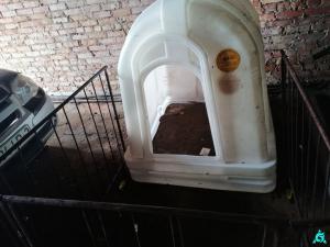 Домики для телят (новые), 7 шт. (Витебская обл., Браславский р-н, аг.Друя, ул. Браславская, 62)