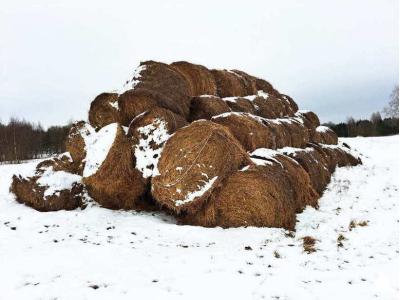 Солома 2025 года №2 (100 рулонов) (Витебская обл., Браславский р-н, аг.Друя, ул. Браславская, 62)
