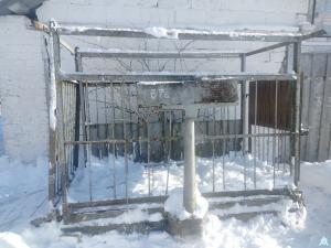 Весы для взвешивания скота, инв. №67а (Витебская обл., Миорский р-н, Повятский с/с, д.Паташня, ул. Молодёжная, 13)