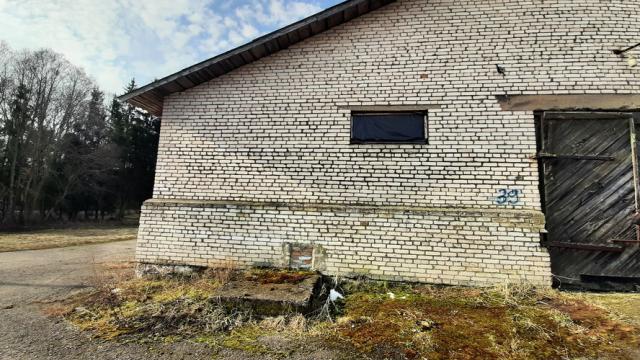 Капитальное строение, хранилище зернотока пл. 1582,4 кв.м. (Витебская обл., Браславский р-н, Друевский с/с, аг.Друя, ул. Браславская, 73)