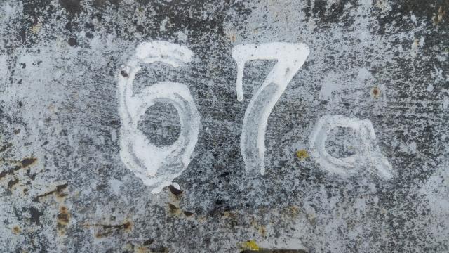 Весы для взвешивания скота, инв. №67а (Витебская обл., Миорский р-н, Повятский с/с, д.Паташня, ул. Молодёжная, 13)