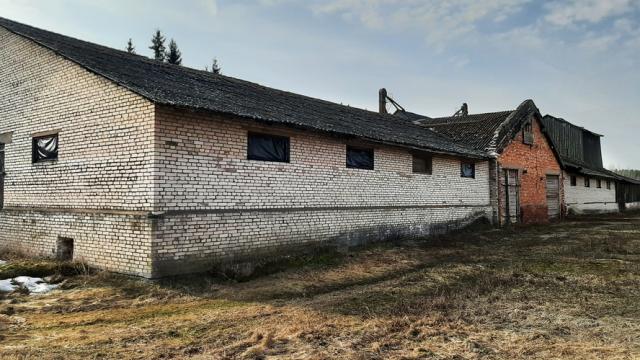 Капитальное строение, хранилище зернотока пл. 1582,4 кв.м. (Витебская обл., Браславский р-н, Друевский с/с, аг.Друя, ул. Браславская, 73)