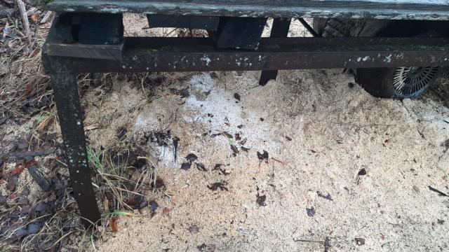 Станок обрезной для досок, инв. №5043 (Витебская обл., Браславский р-н, аг.Друя, ул. Браславская, 62)