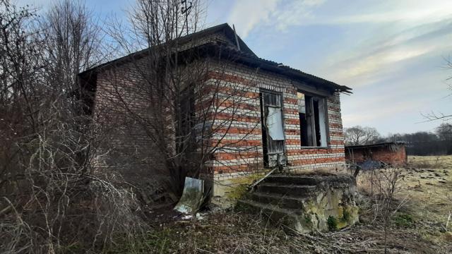 Капитальное строение, жилой дом пл. 146,7 кв.м. (Витебская обл., Браславский р-н, Друевский с/с, аг.Друйск, ул. Центральная, 27)