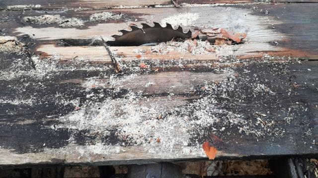 Станок обрезной для досок, инв. №5043 (Витебская обл., Браславский р-н, аг.Друя, ул. Браславская, 62)