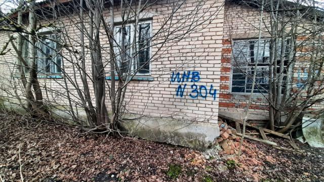 Капитальное строение, жилой дом пл. 146,7 кв.м. (Витебская обл., Браславский р-н, Друевский с/с, аг.Друйск, ул. Центральная, 27)