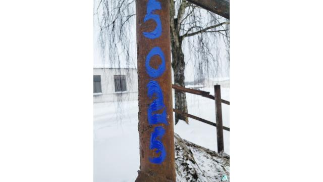 Эстакада для погрузки крупного рогатого скота, инв. №5025 (Витебская обл., Миорский р-н, Повятский с/с, д.Паташня, ул. Молодёжная, 13)