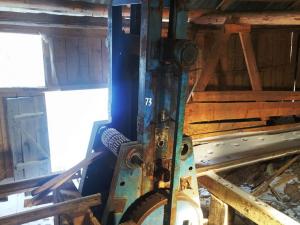 Лесорама, инв. №73 (Витебская обл., Миорский р-н, Повятский с/с, д.Паташня, ул. Молодёжная, 13)