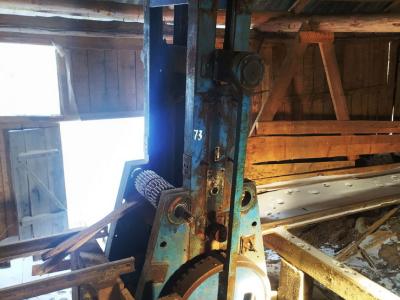 Лесорама, инв. №73 (Витебская обл., Миорский р-н, Повятский с/с, д.Паташня, ул. Молодёжная, 13)