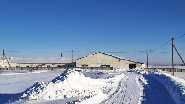 Комплекс 9 зданий фермы (2 коровника, 4 телятника, склад, навес, 5 сенажных траншей) общей пл. 10734,5 кв.м. с благоустройством территории и прочим имуществом (Витебская обл., Глубокский р-н, Озерецкий с/с, 22, вблизи д.Каминщина)