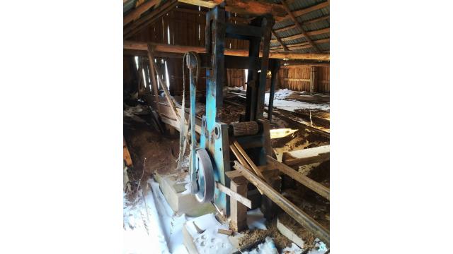 Лесорама, инв. №73 (Витебская обл., Миорский р-н, Повятский с/с, д.Паташня, ул. Молодёжная, 13)