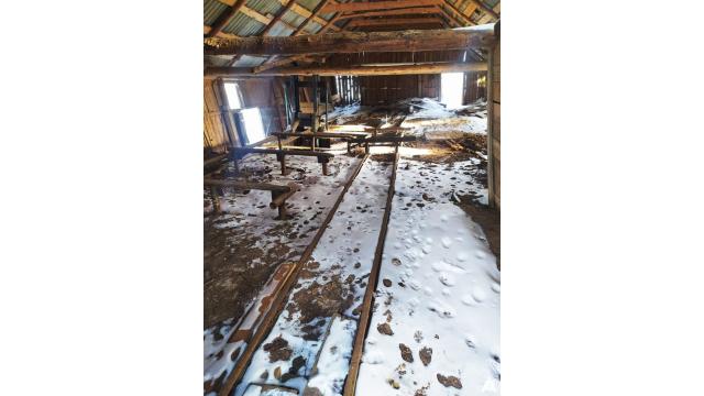 Лесорама, инв. №73 (Витебская обл., Миорский р-н, Повятский с/с, д.Паташня, ул. Молодёжная, 13)